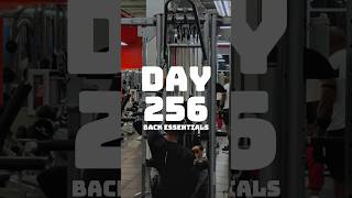 Day 256  back workout essentials [upl. by Nylinnej]