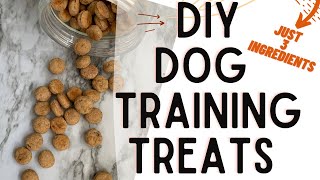 Homemade Dog Training Treat Recipe  Easy 3 Ingredient Dog Treats [upl. by Acyre]