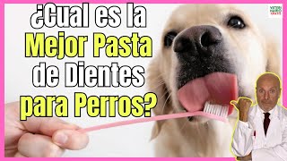 🔴 ¿CUAL ES LA MEJOR PASTA DE DIENTES PARA PERROS 🔴 [upl. by Sibyls174]