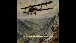 Aviatik B I Pioneering the Skies of World War I historyshortvideo ww1 plane viral interesting [upl. by Amle]