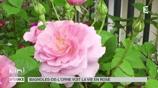 VU DICI  BagnolesdelOrne voit la vie en rose [upl. by Rodl47]