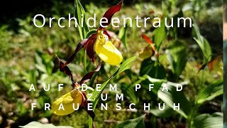 Orchideentraum  auf dem Pfad zum Frauenschuh [upl. by Niar5]