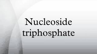 Nucleoside triphosphate [upl. by Yellek]