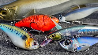 Top 5 Baits For February Bass Fishing [upl. by Anauqahs]