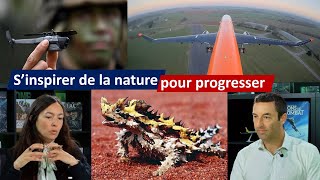 Biomimétisme sinspirer de la nature pour progresser [upl. by Yhtommit]