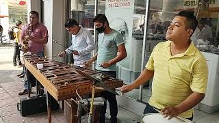 Tapachula Chiapas MARIMBA CAMINERA [upl. by Adnawad]