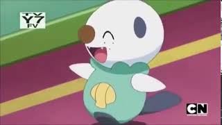 oshawott [upl. by Mickie405]