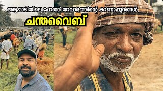 ‘ചന്തവൈബ്’  അട്ടപ്പാടിയിലെ പോത്ത് യാവാരം Kottathara Cattle Market  Attappadi [upl. by Court]