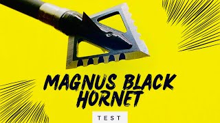 MAGNUS BLACK HORNET SER RAZOR 125 gr Broadhead Test [upl. by Ybrad]