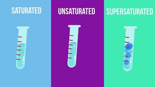 Saturated  Unsaturated and Supersaturated Solutions What is the difference [upl. by Tallu]