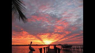 Siesta Key Live  Relaxing Sounds of Calm Waves and Island Life [upl. by Ludvig]