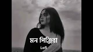 Mon pinjiray❤️।।Slowed and Reverb bangla Lofi Song [upl. by Salamanca]