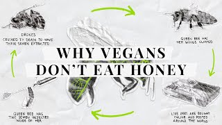 Why dont vegans eat honey [upl. by Barbur]