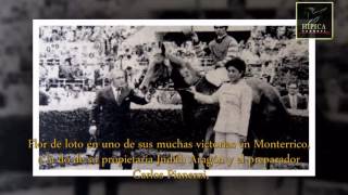 FLOR DE LOTO  Gran Premio Internacional Cuidad de Rosario Hipódromo de Maroñas  Uruguay [upl. by Einaffyt]