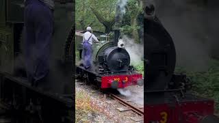 Talyllyn Railway Photo Charter  The Falcons Featuring The Legendary Sir Haydn in the heart of wales [upl. by Jona]