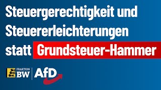 Steuergerechtigkeit und Steuererleichterungen statt GrundsteuerHammer [upl. by Reiner]