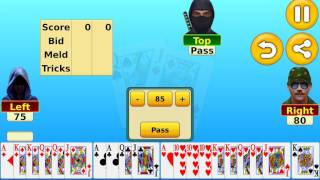 Pinochle double aces gets set [upl. by Gillie]