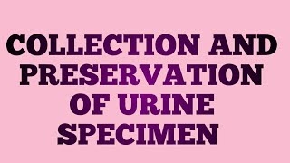 Collection and Preservation of Urine Specimen [upl. by Enela40]