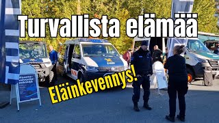 Turvallista elämää  Eläinkevennys [upl. by Ermey899]