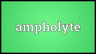 Ampholyte Meaning [upl. by Milly460]