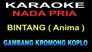 KARAOKE  BINTANG  Gambang Kromong Koplo  Nada Pria  Cowo [upl. by Ylra375]