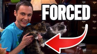 They made Jim Parsons work with cats despite his allergy  The Big Bang Theory Secrets amp Cast IRL [upl. by Mariam907]