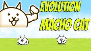 Battle Cats  MACHO CAT  Evolution Time  Episode 5 [upl. by Eivets195]