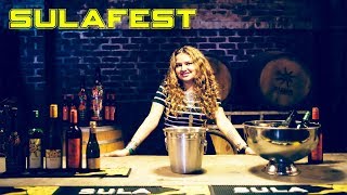 SulaFest  Sula vineyards Festival Nashik  Wine Festival  Vlog 2  Peppy Traveller [upl. by Llerrut]