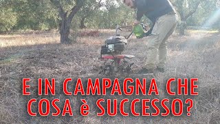 E IN CAMPAGNA CHE COSA HO FATTO [upl. by Aisital]