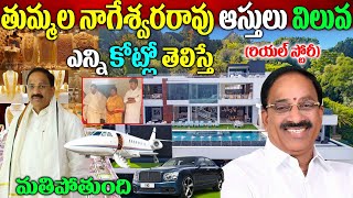 Thummala Nageswara Rao Biography తుమ్మ‌ల నాగేశ్వ‌ర‌రావు బ‌యోగ్ర‌ఫీThummala Nageswara Rao Realstory [upl. by Nnairda]