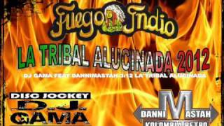 Musicalisimo Fuego Indio La Tribal Alucinada [upl. by Kaufmann]