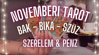 ✨ Bak Bika Szűz november havi tarot ✨ szerelem ❤️ pénz 💸 ✨ Mit hoz ez a hónap ✨ [upl. by Annaira]