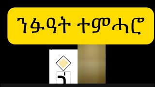 ትምህርቲ ምዝዋር መኪና ናይ ቲክቶክ ቪዶ Fetsum Estifanos eritrean eritreancomedy [upl. by Marigolda]