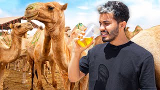 Tomé ORINES de CAMELLO 🐫  Probando COMIDA CALLEJERA en SOMALILANDIA 34 [upl. by Neumann433]