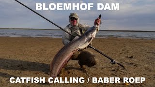 Bloemhof dam catfishbarbel calling baber roep [upl. by Silin]