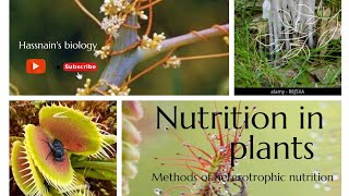 Methods of heterotrophic nutrition in plants biologistasifsaleem0910 [upl. by Ambler]