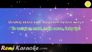 Seweryn Krajewski  Jan Serce karaoke  RemiKaraokecom [upl. by Iturk]