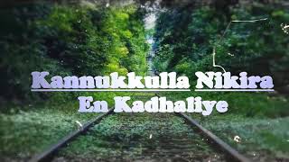 Kannukkulla Nikira En Kadhaliye  ALBUM SONG LYRICS [upl. by Etessil]