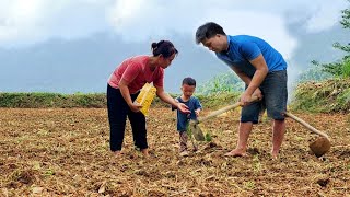 How to till the soil to start a new crop  Harvest palanquins to sell  Chúc Tòn Bình [upl. by Eilraep]