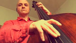 Autumn Leaves in C minor Bass Line WITH SOLO Play Along Backing Track [upl. by Davison]