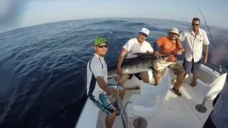 Dorado shootout amp cabo fishing day [upl. by Ayifa195]