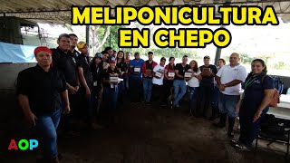 Melipónicultura en Chepo [upl. by Theo869]