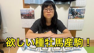 地方馬主になったら欲しい産駒について【ダート種牡馬産駒】【ゴールドドリーム、ルヴァンスレーヴ、クリソベリル、エスポワールシチー】 [upl. by Ihteerp]