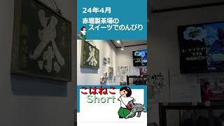 【こはねこさんぽ】096 赤堀製茶場 の 抹茶スイーツ でのんびり【Shorts】 赤堀製茶場 抹茶 Shorts [upl. by Koenig]