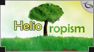 Heliotropism  Tree Growing Strategy Game [upl. by Etnoved]