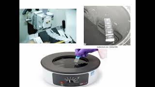 Tissue Processing Histopathology H and E Staining Tecniques  Hindiurdu Histopathology [upl. by Enneirda]