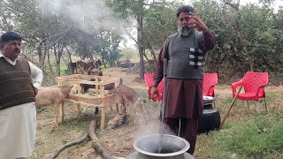 Lahori Degi Chicken Cholay  Chicken Cholay Recipe Restaurant Style  Mubarak Ali  Tour And Taste [upl. by Bouton]