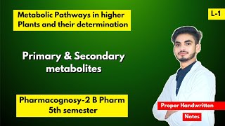 L1। U1। Metabolic pathways in higher plants and their determination।Pharmacognosy B Pharm 5th sem। [upl. by Eilyr]