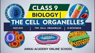 Unlocking the Mysteries of Cells Class 9 Biology  Cell Organelles [upl. by Jarlath]