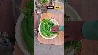 growing vegetablesvegetable gardeningfast growing vegetablevegetable gardengarden viralshorts [upl. by Iot]